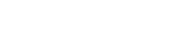 Logo Antolini