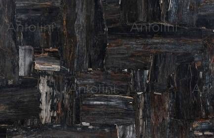 RETRO GREY PETRIFIED WOOD