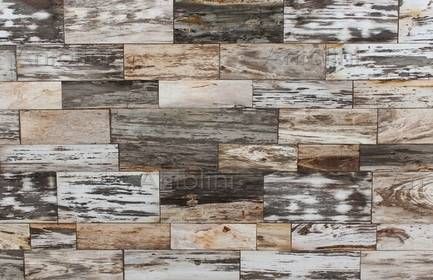 GEO FANCYLIGHT PETRIFIED WOOD